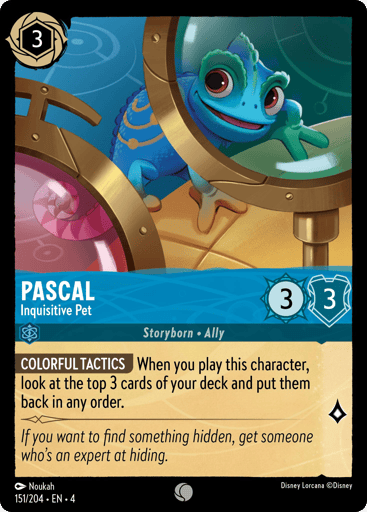 Pascal – Inquisitive Pet