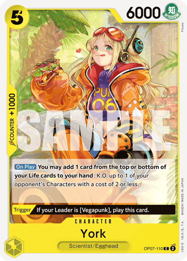 York (OP07-110)